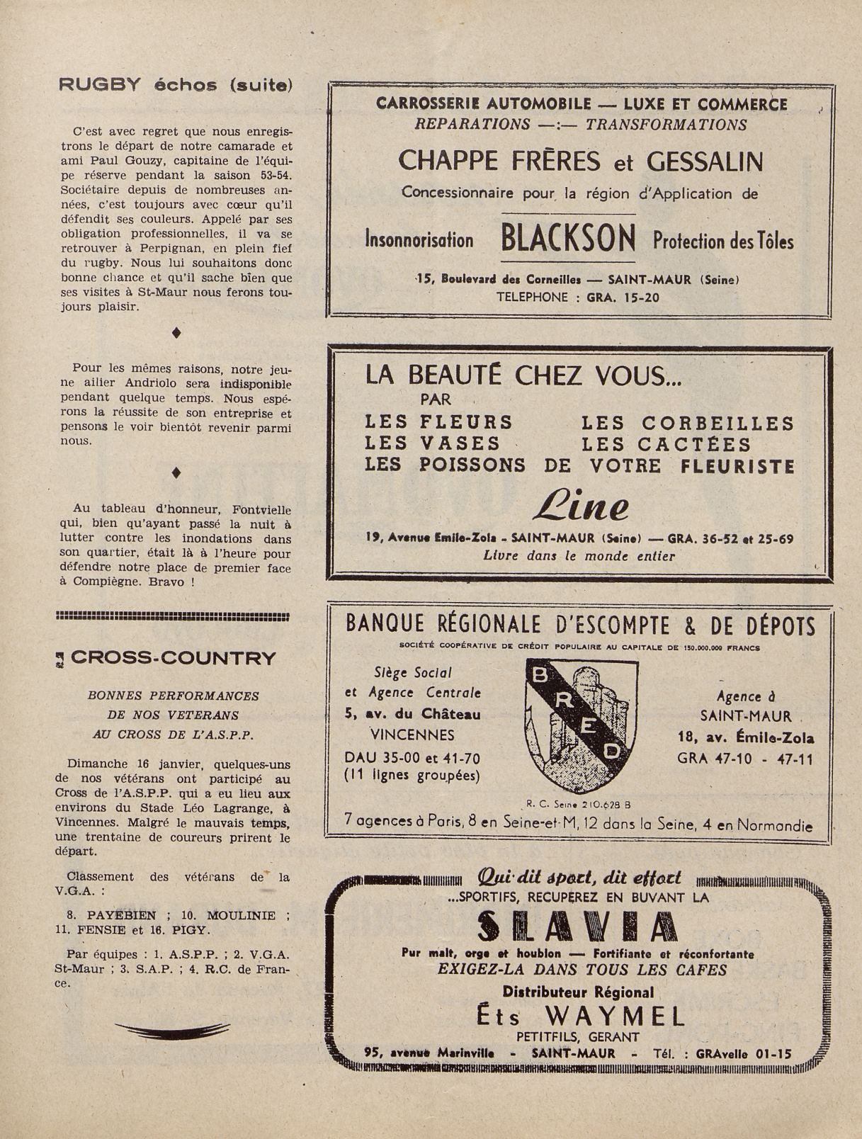 Page Background